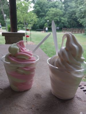 watermelon/lime and vanilla Dole whip at Park N Chill in Springfield