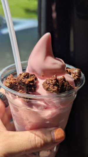  at Park N Chill in Springfield