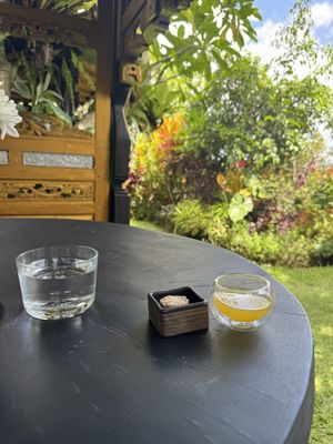   at Joyously Raw in Ubud