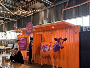   at The Saucy Cow in Cork