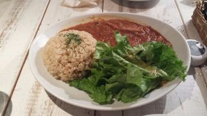 Mushroom Hayashi-Rice at AIN SOPH.Journey in Tokyo