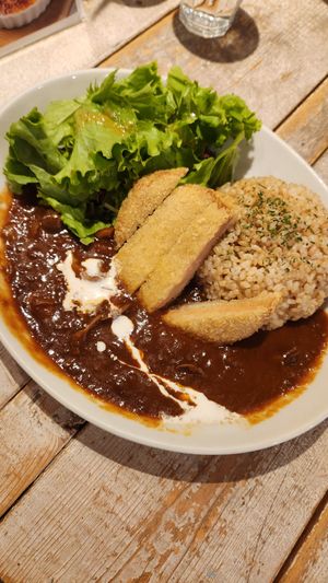 Hayashi rice at AIN SOPH.Journey in Tokyo