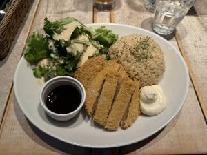 Soya cutlets with brown rice  at AIN SOPH.Journey in Tokyo