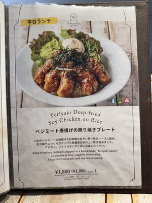 More of the delicious Karaage but with Teriyaki sauce  at AIN SOPH.Journey in Tokyo