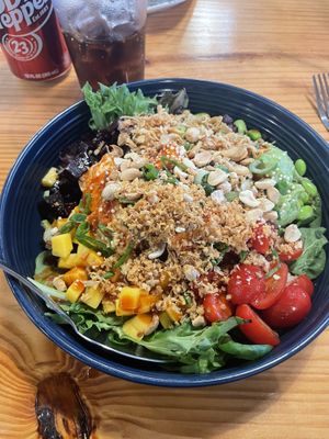Poke bowl with rice, soy beans. Tofu, beets, variety greens, mango, pickled cabbage, tomatoes, crispy garlic, crispy onion, green onion, peanuts, and the house sauce  at Rockin' Ramen in Temple