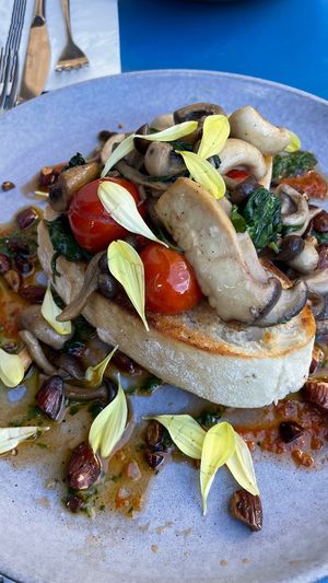 Magic Mushrooms   at Word of Mouth   in Sliema