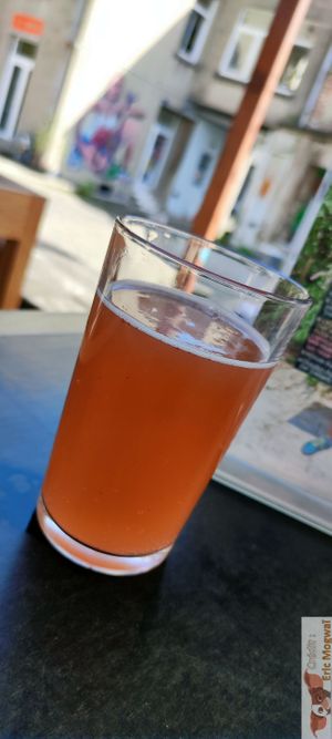 Kombucha at Bar Recyclart in Brussels