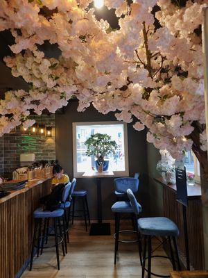 Inside at Loy Vegan in Trier