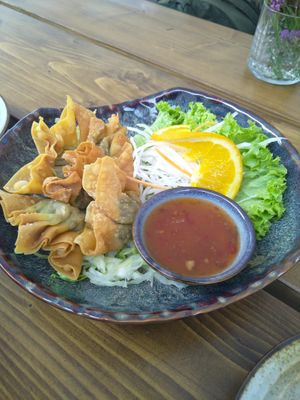 some fried dumplings at Loy Vegan in Trier
