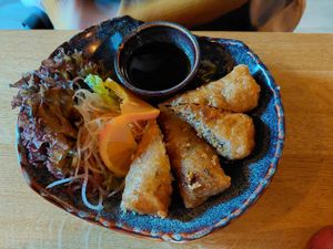Frühlingsrollen (Vorspeise) at Loy Vegan in Trier