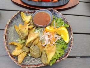 Dumpling starter at Loy Vegan in Trier