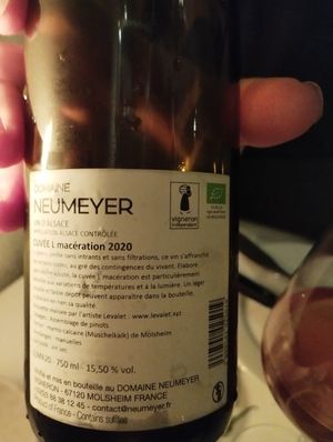 Vin natural #Veganuary at Faubourg Daimant in Paris