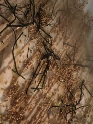   at Faubourg Daimant in Paris