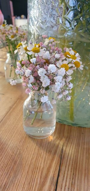  at Gartencafé Wiligrad in Luebstorf