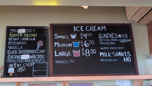 Ice cream options at Catskill Mountain Pizza Co in Woodstock