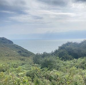 Great vieww  at Pobbles Pizza in Swansea