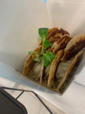 Home made gyoza veggy at Lala Noodles in Naples