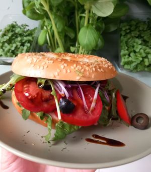 Bagel with pesto,Tomato  rocket,olives,herbs & balsamic drizzle
Vegan at Soul Foods in Alford