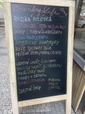 Czech menu of the day   at Country Life - Restaurace Dejvice in Prague