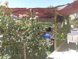 Nice terrace to eat at Gato Bar in Capileira