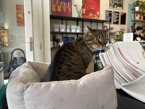   at Motion Coffee  in Amsterdam