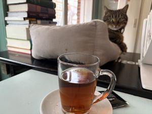   at Motion Coffee  in Amsterdam