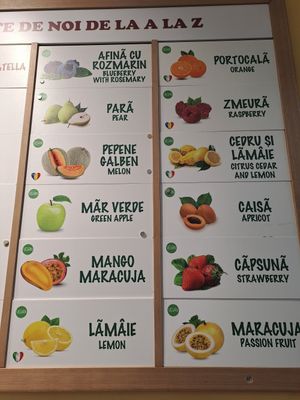 Vegan ice cream flavors at Vau Il Gelato in Bucharest
