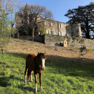 exterior from a distance at Le Chateau de Cambiaire in Saint-etienne-vallee-francaise