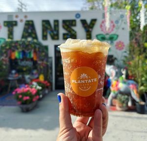  at Plántate Cafe in Burbank