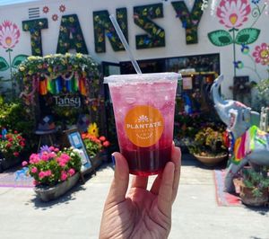  at Plántate Cafe in Burbank