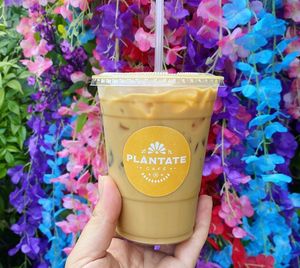  at Plántate Cafe in Burbank