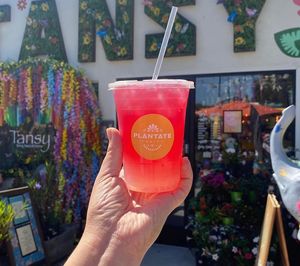  at Plántate Cafe in Burbank