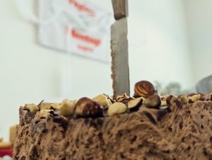  at Vegan Meetup Mainz in Mainz