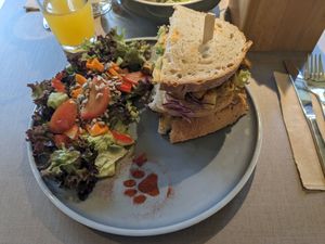  at Katzentempel - Freiburg in Freiburg