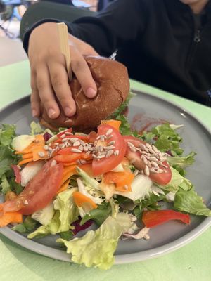   at Katzentempel - Freiburg in Freiburg