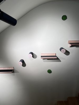   at Katzentempel - Freiburg in Freiburg