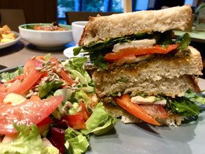   at Katzentempel - Freiburg in Freiburg