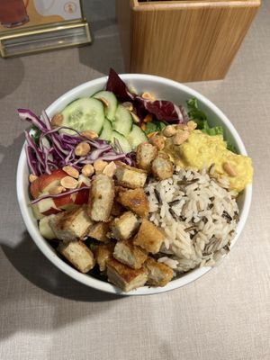   at Katzentempel - Freiburg in Freiburg