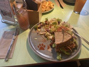   at Katzentempel - Freiburg in Freiburg