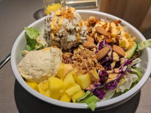 Tiger bowl at Katzentempel - Freiburg in Freiburg