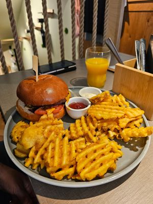  at Katzentempel - Freiburg in Freiburg