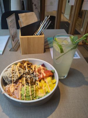  at Katzentempel - Freiburg in Freiburg