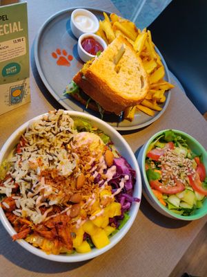  at Katzentempel - Freiburg in Freiburg