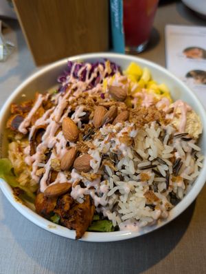  at Katzentempel - Freiburg in Freiburg