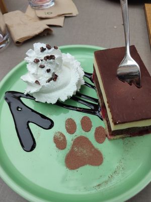  at Katzentempel - Freiburg in Freiburg