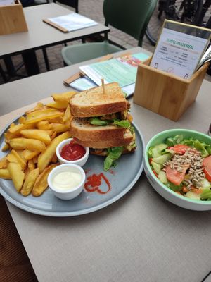  at Katzentempel - Freiburg in Freiburg