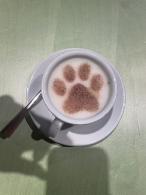   at Katzentempel - Freiburg in Freiburg