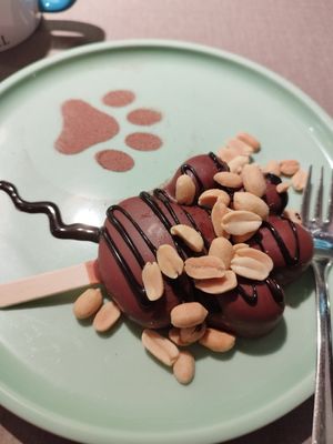  at Katzentempel - Freiburg in Freiburg