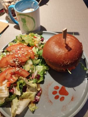  at Katzentempel - Freiburg in Freiburg