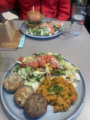   at Katzentempel - Freiburg in Freiburg